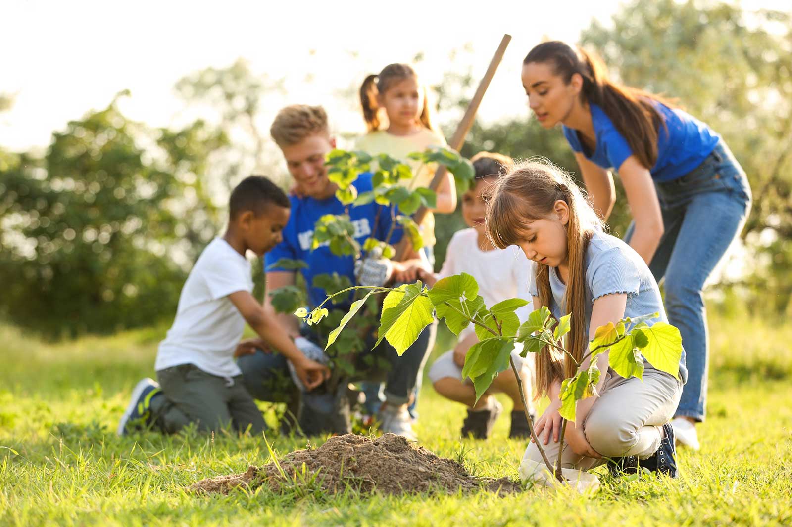A group of children planting a young tree in a sunny field, encouraging environmental conservation together.